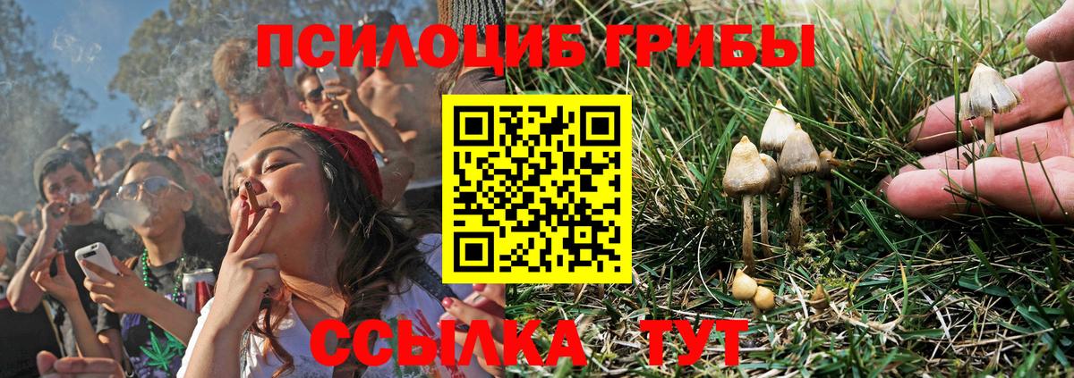 Псилоцибиновые грибы GOLDEN TEACHER  Вход с VPN  Галлюциногенные грибы Psilocybe  Полевской 
