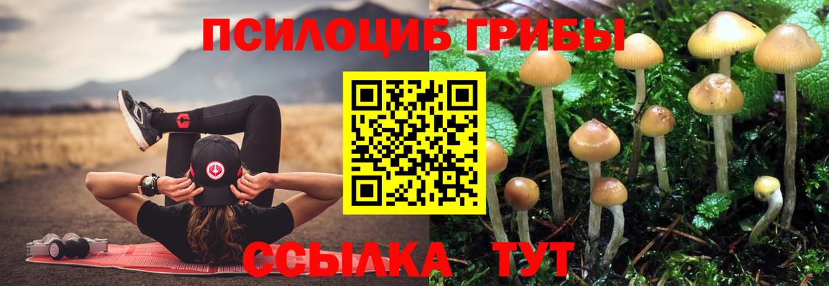 Галлюциногенные грибы Magic Shrooms Полевской